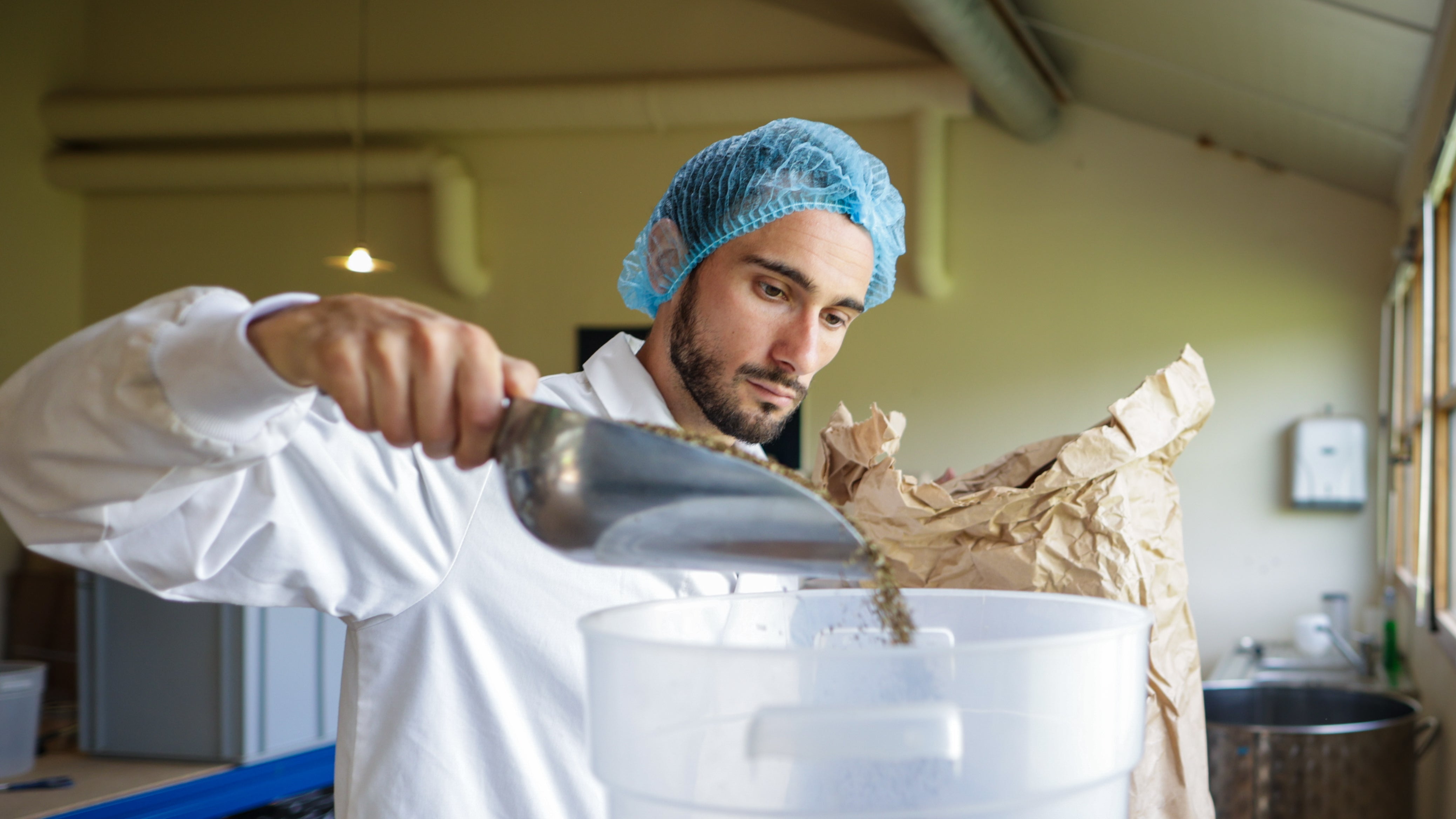Le thé artisanal : notre savoir-faire en Cornouaille - Les Thés de Cornouaille
