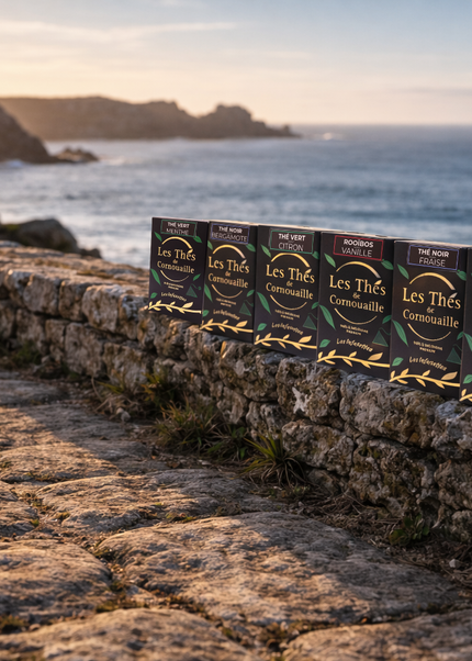 Assortiment "Le grand large" - 126 Pyramides